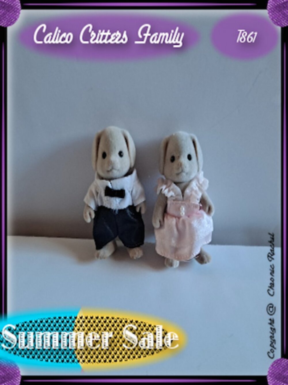 Fancy Basset Dog Adults